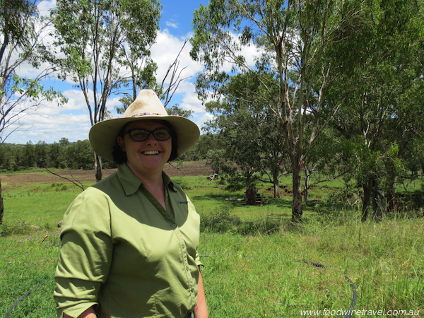 www.foodwinetravel.com.au, Christine Salins, Killarney, Southern Queensland Country Tourism, Spring Creek Mountain Café & Cottages, Queen Mary Falls Caravan Park, Queen Mary Falls, Cambanoora Co, Southern Downs Harvest lunch, Melrose Station, Killarney Butcher, Carr’s Lookout, Cambanoora Gorge.