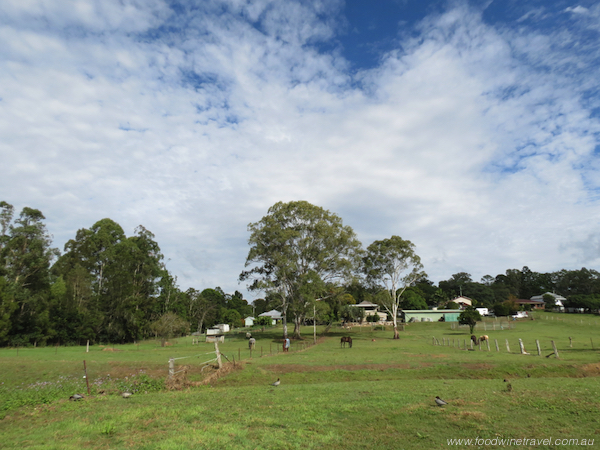 Walking The Dayboro Heritage Trail