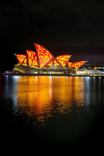 www.foodwinetravel.com.au, Vivid Sydney.