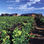 www.foodwinetravel.com.au, Western Australian wine, Sandalford.