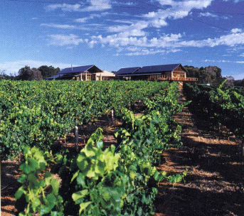 www.foodwinetravel.com.au, Western Australian wine, Sandalford.