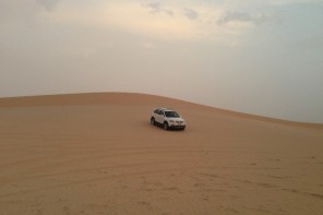 Suncity Tours Desert Safari