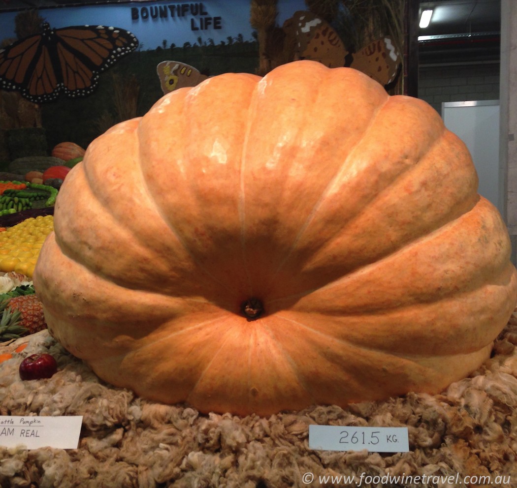 Ekka, Royal Queensland Show Giant Pumpkin