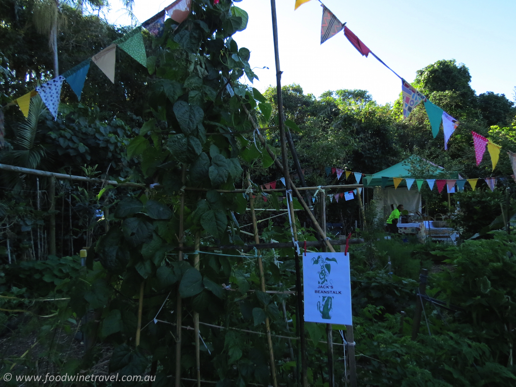 Gourmet Farmer Matthew Evans was the special guest at What’s Cooking in the Gardens?, an annual event in Redcliffe.