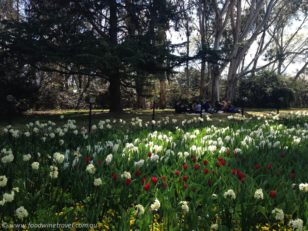 Floriade Colour Patches