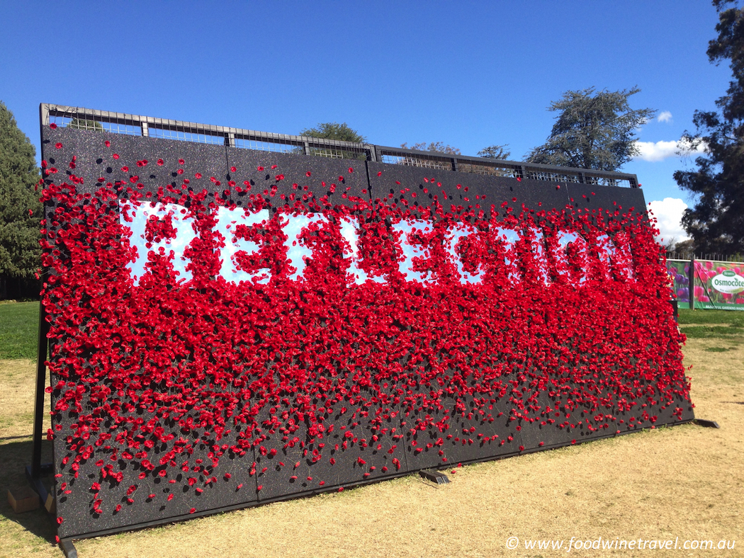 Floriade Poppies