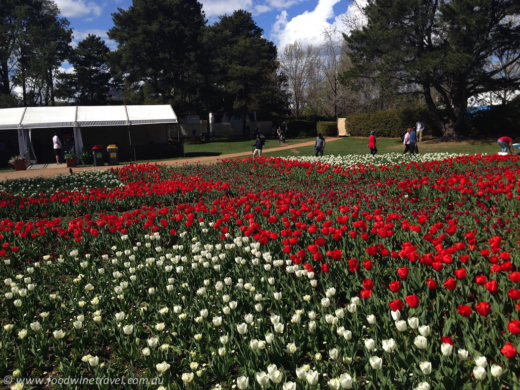 Floriade Red Cross