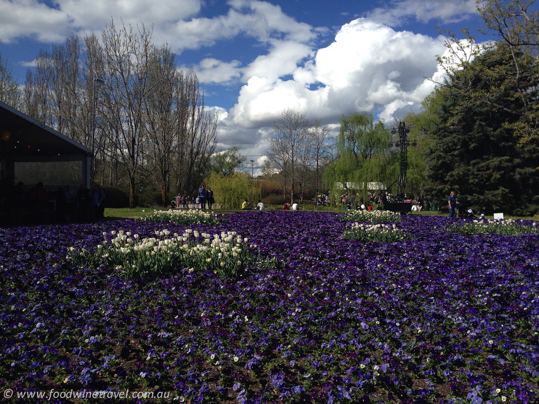 Floriade Southern Cross