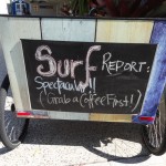 Surf Report, Noosa