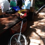 Unicyclist at Noosa Jazz Festival