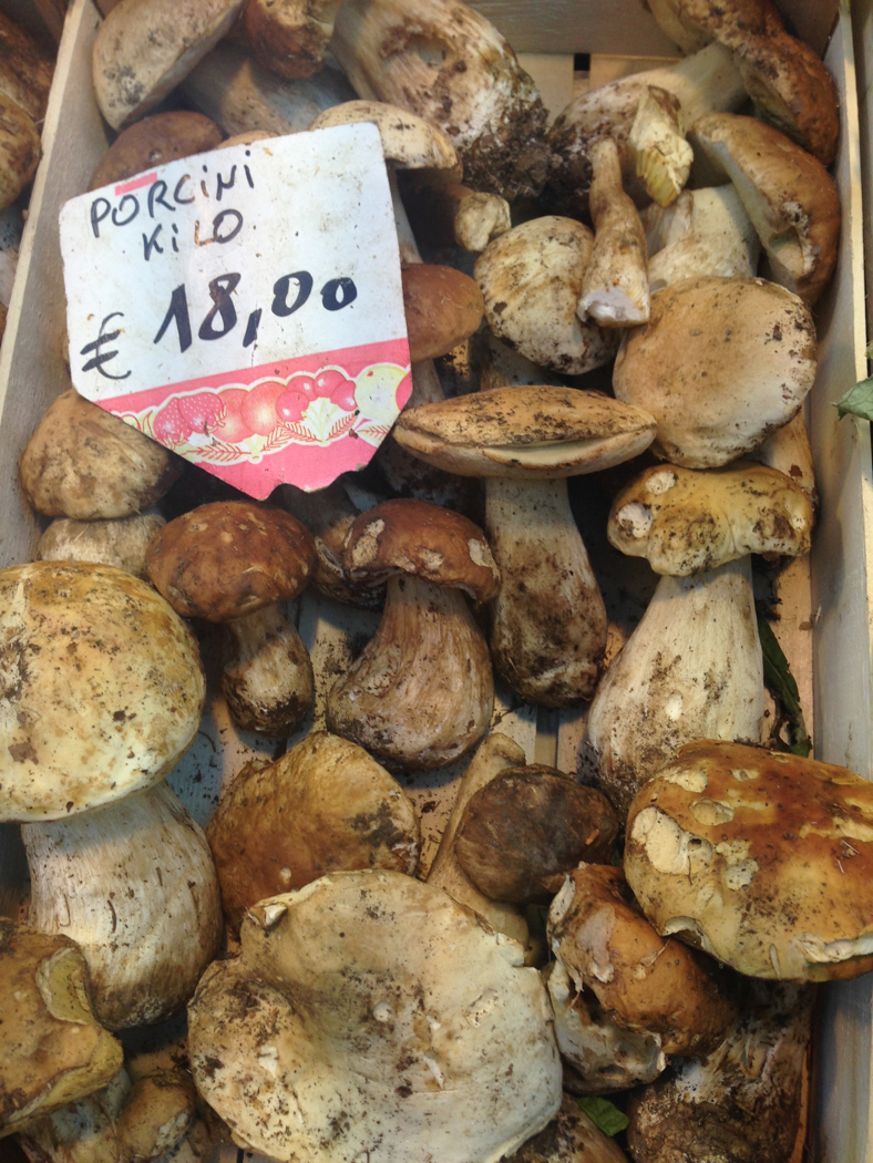 Porcini Mushrooms