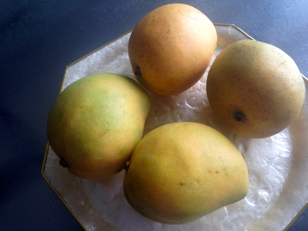 Mangoes In My Kitchen with Celia of Fig Jam and Lime Cordial