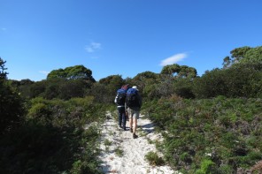 Maria Island Walk