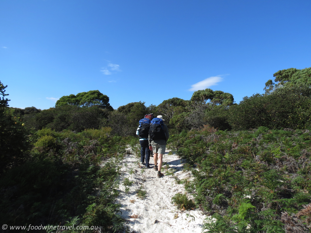 Maria Island Walk