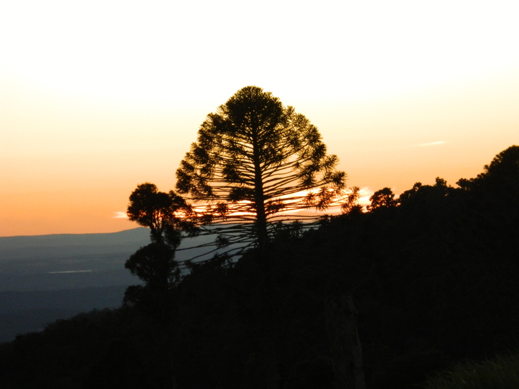 Autumn Breathe Breaks in Southern Queensland Country; autumn getaways in Toowoomba, Stanthorpe, Kingaroy and other parts of south east Queensland.