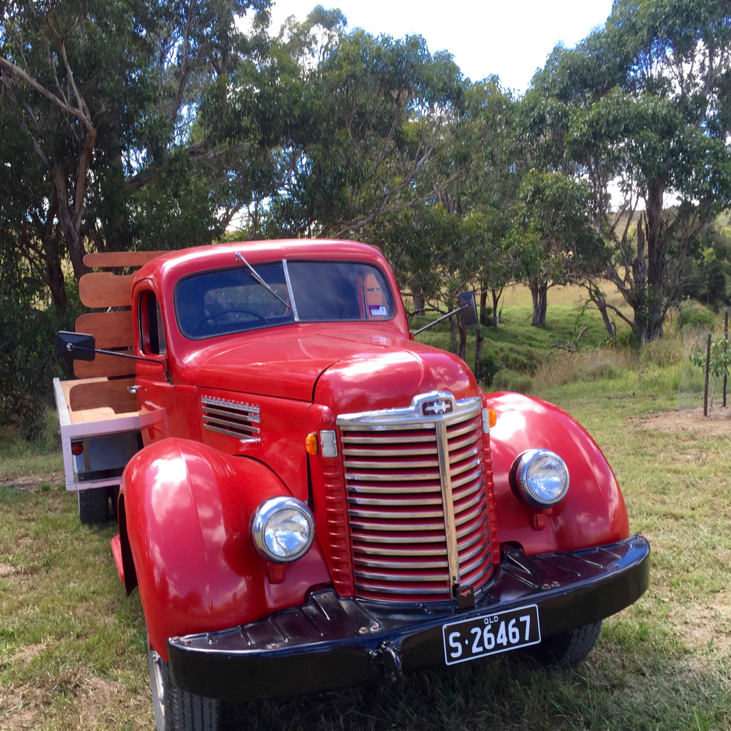 Autumn shared table lunch hosted by Southern Queensland Country, promoting autumn getaways in south east Queensland.