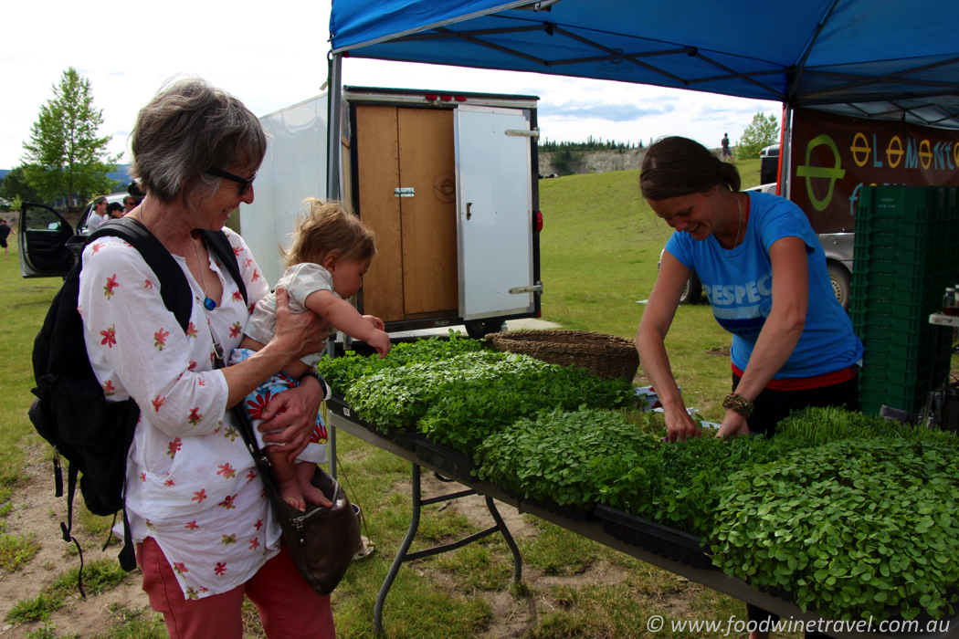 Elemental Farm Whitehorse Yukon