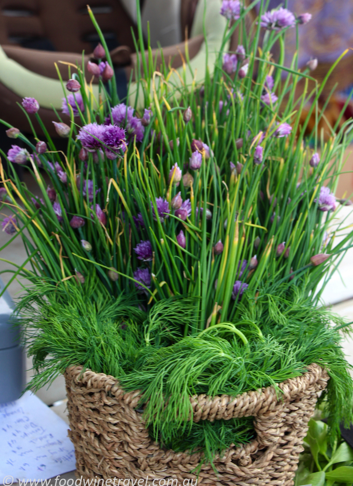 Garlic Chives at Fireweed Community Market Whitehorse Yukon