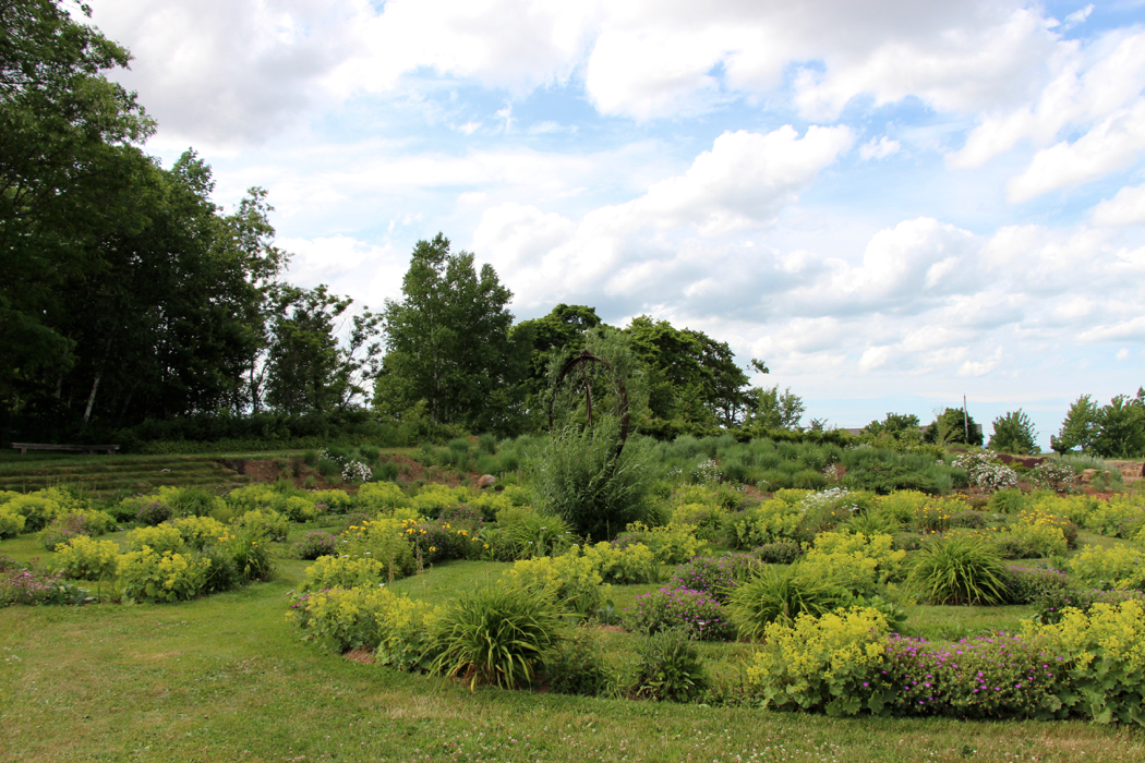 The Tangled Garden Labyrinth 2