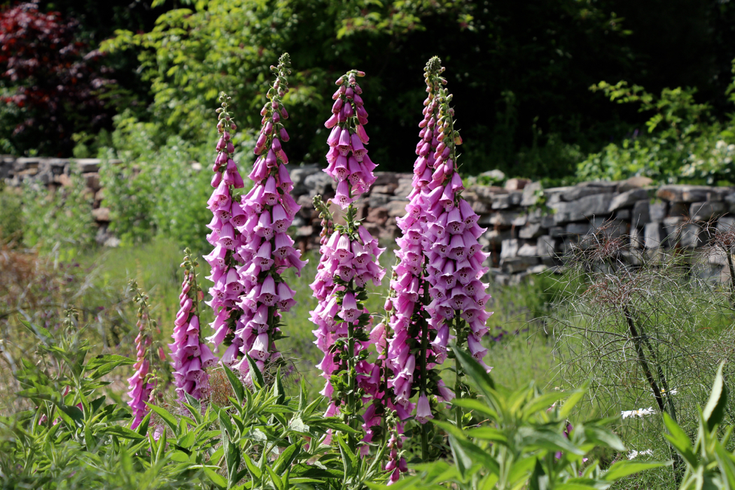 The Tangled Garden created by Beverly McClure in Nova Scotia.