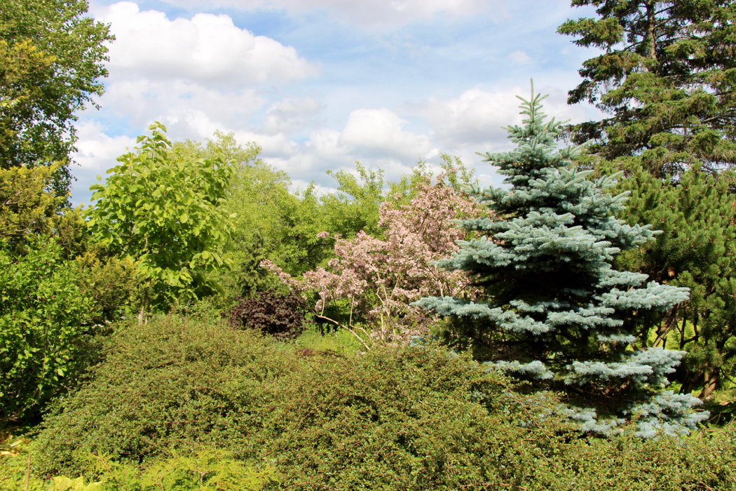 The Tangled Garden created by Beverly McClure in Nova Scotia.