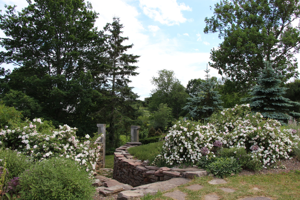 The Tangled Garden created by Beverly McClure in Nova Scotia.