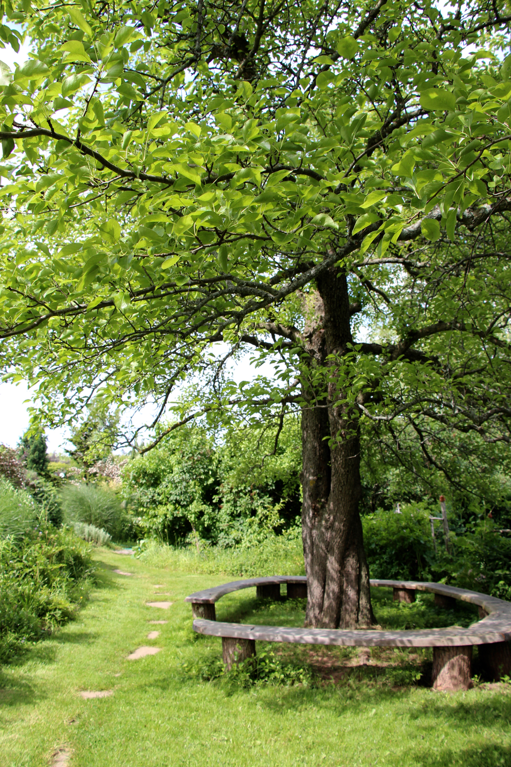 The Tangled Garden created by Beverly McClure in Nova Scotia.