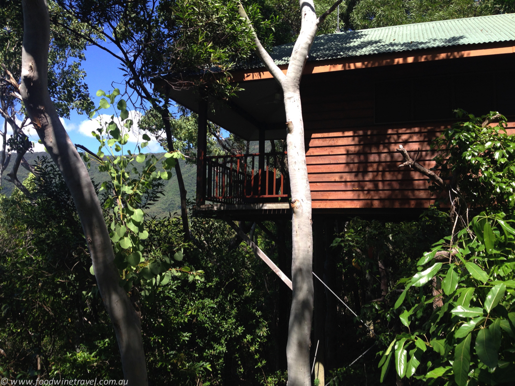 Thala Beach bungalow in the treetops