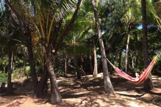 Thala Beach hammock