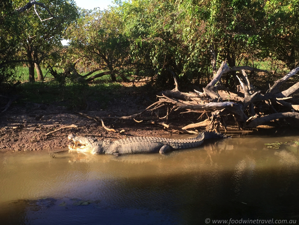 Flash camp Kakadu National Park