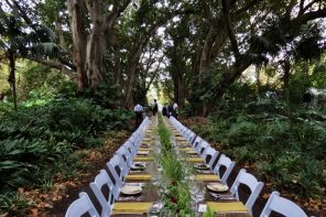 Botanic Gardens Adelaide Anthony Myint lunch Tasting Australia