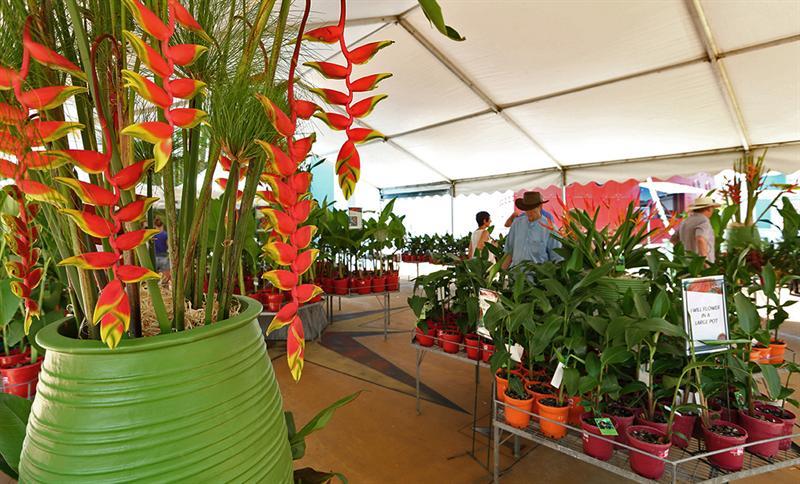 Ginger Flower and Food Festival, Ginger Factory, Yandina