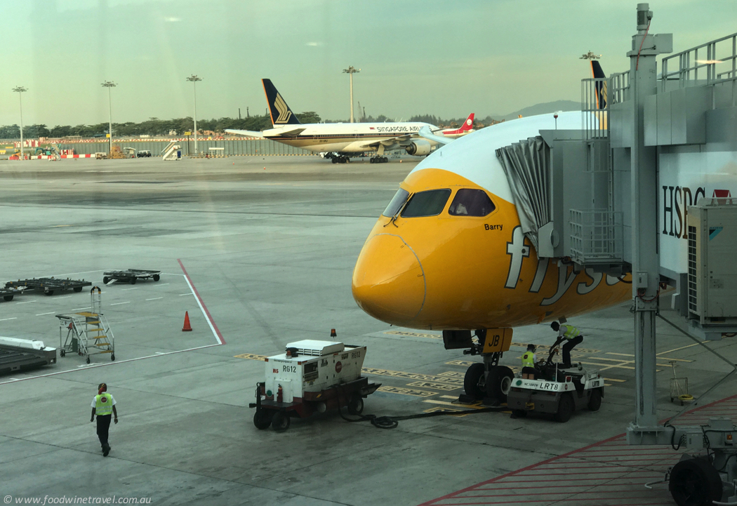 Scoot Boeing 787 Dreamliner Barry