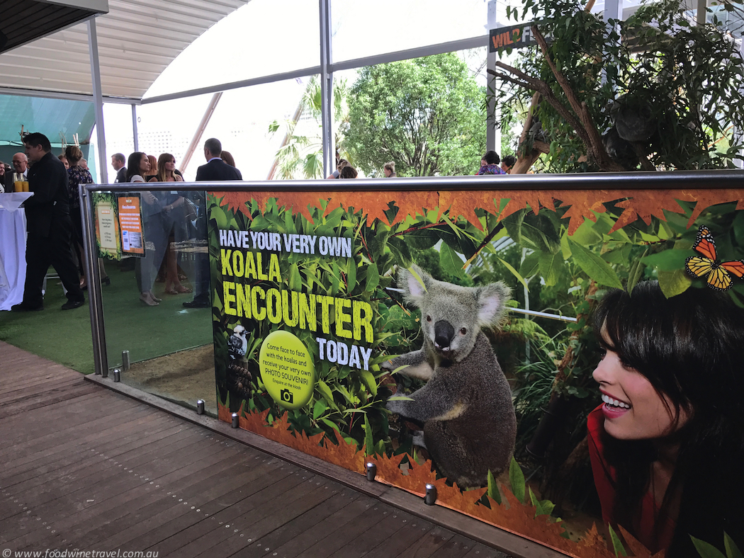 Wild Life Sydney Zoo Koala Entrance