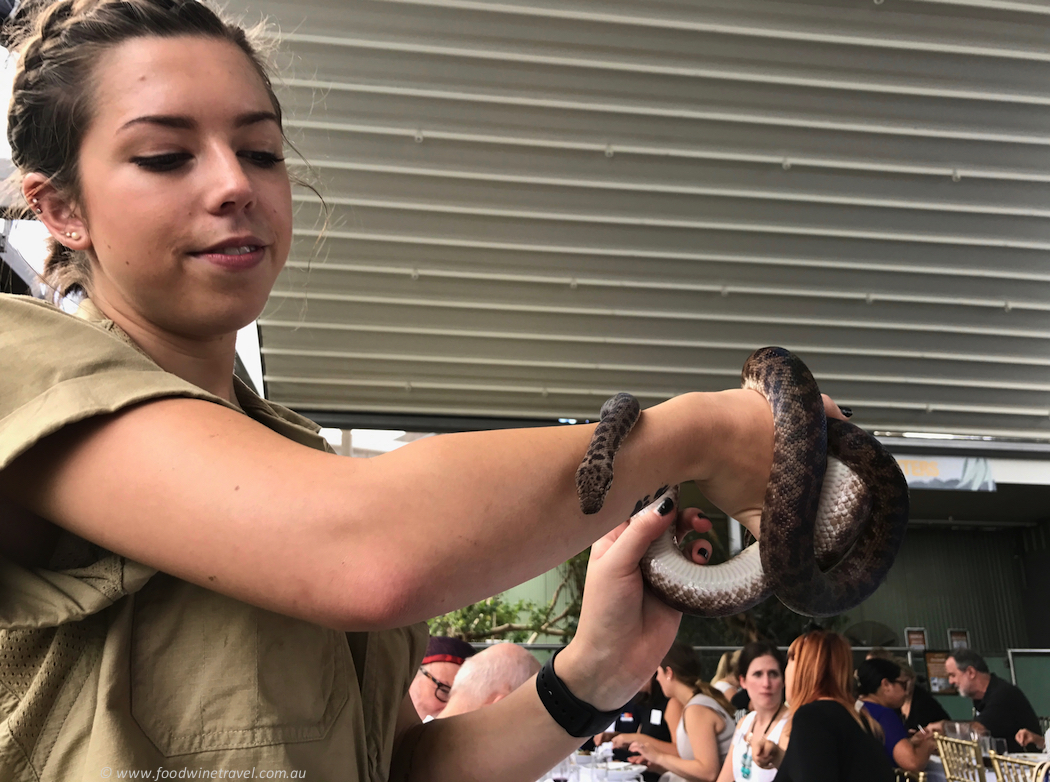 Wild Life Sydney Zoo Snake