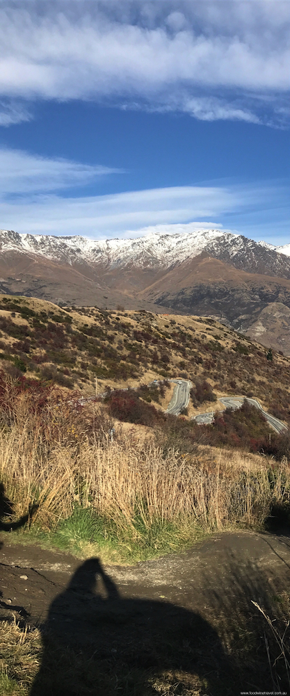 Queenstown View