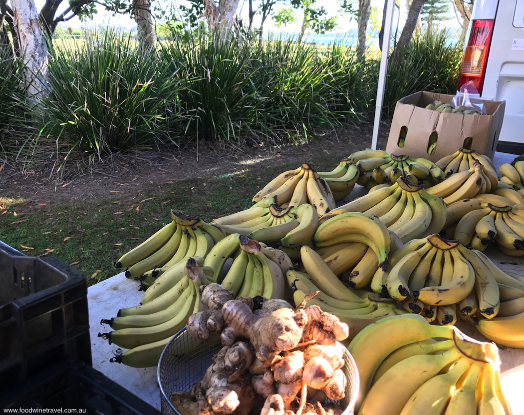 Ballina Missingham Farmers Market Bananas