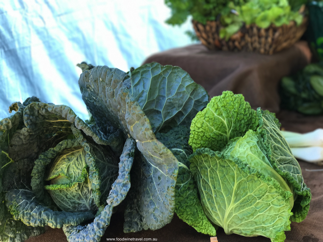 Ballina Missingham Farmers Market Cabbages