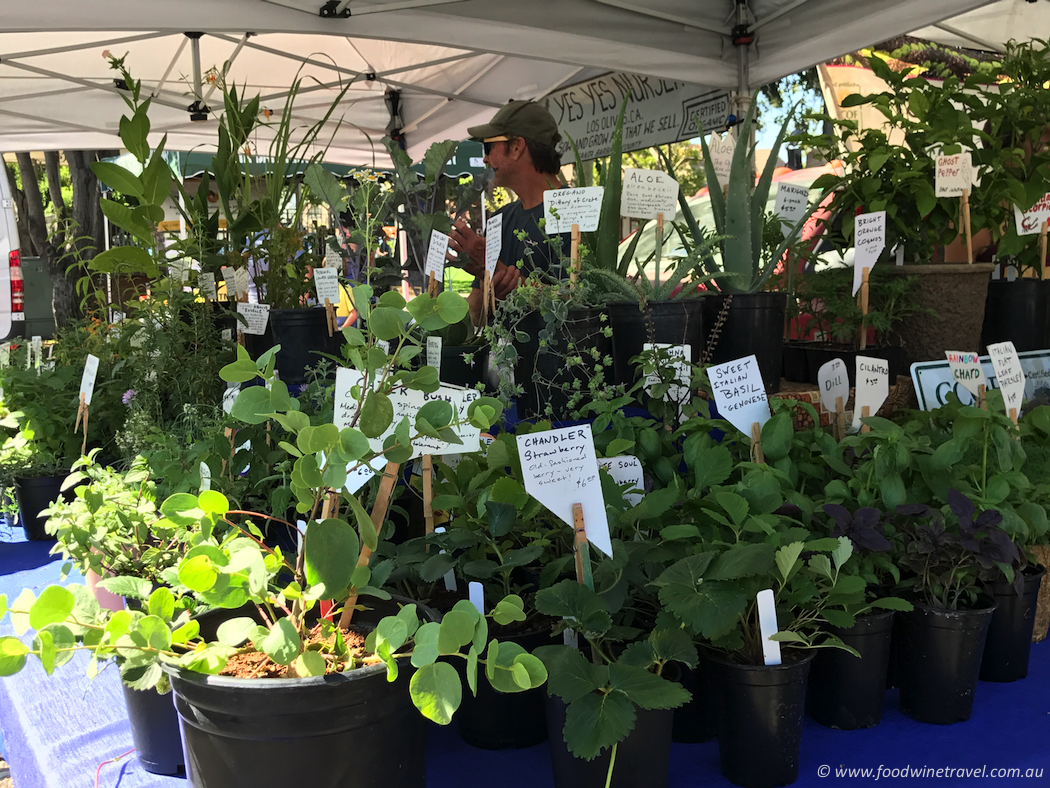 Solvang Farmers Market Plants