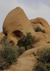 California Skull Rock Joshua Tree
