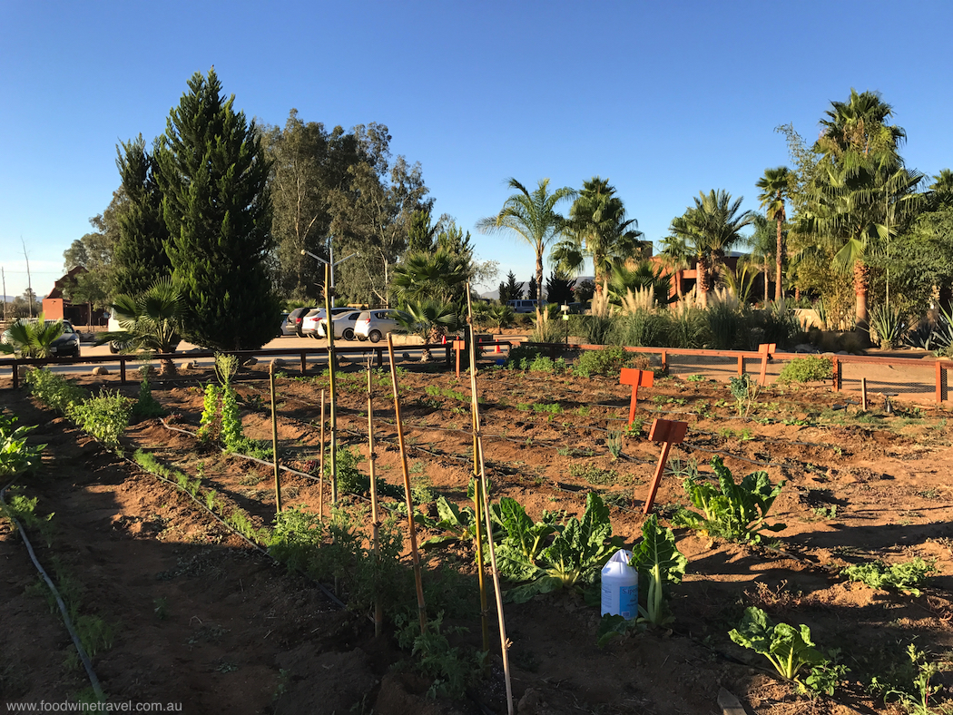 Hotel Boutique kitchen garden