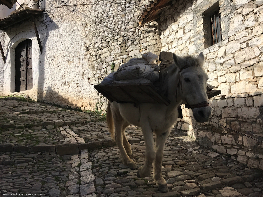 Albania donkey