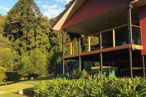 Bunya Mountains Birdsong Back Deck