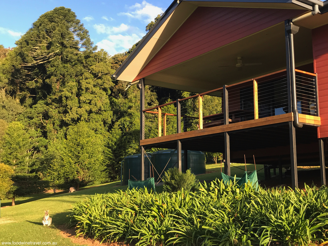 Bunya Mountains Birdsong Back Deck