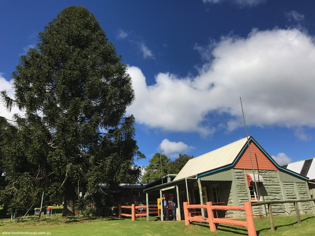 Bunya Mountains Cedarvale and Bunya Tree-imp