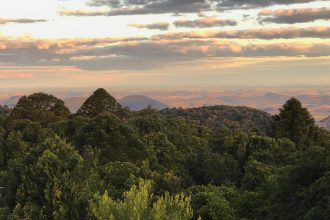 Bunya Mountains Skyline-imp