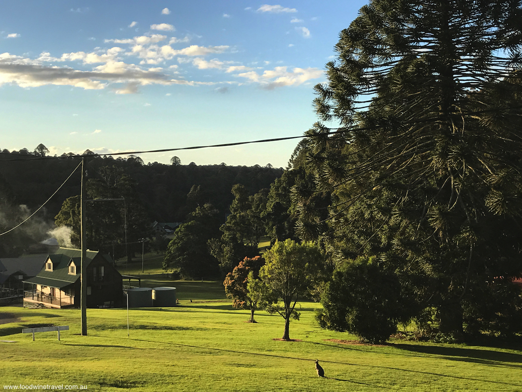 Bunya Mountains Tranquil View-imp