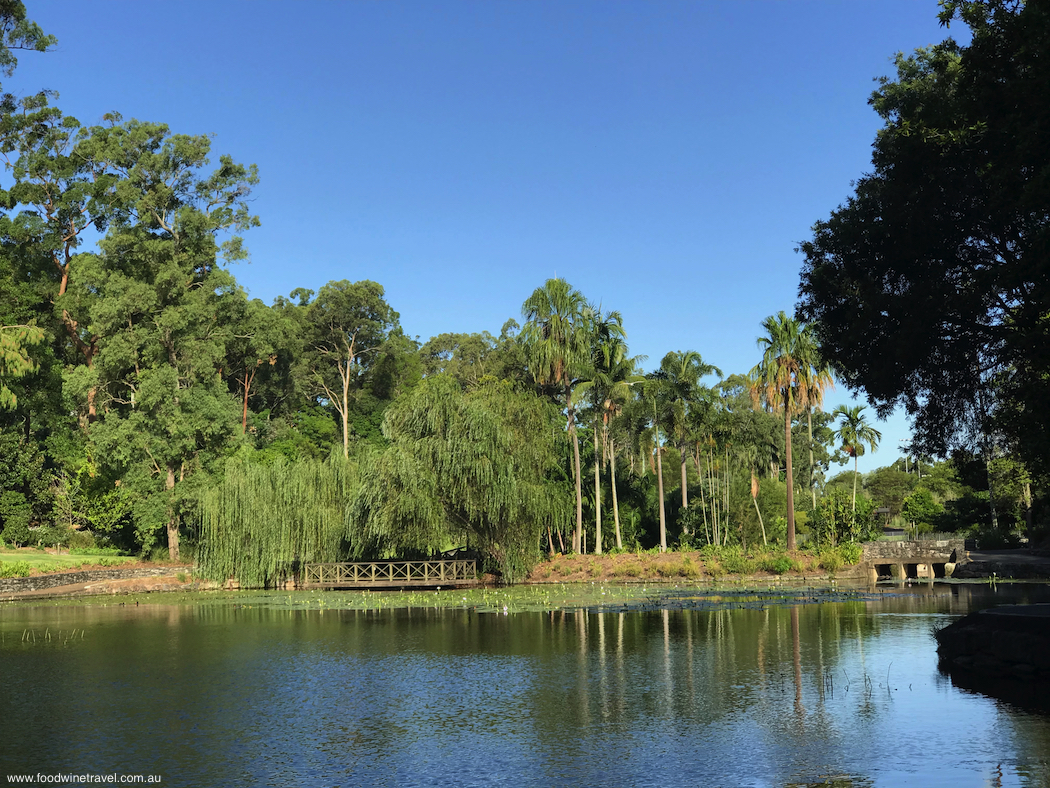 2018 March 15 Mount Coottha Botanic Gardens Brisbane Lagoon and bridge