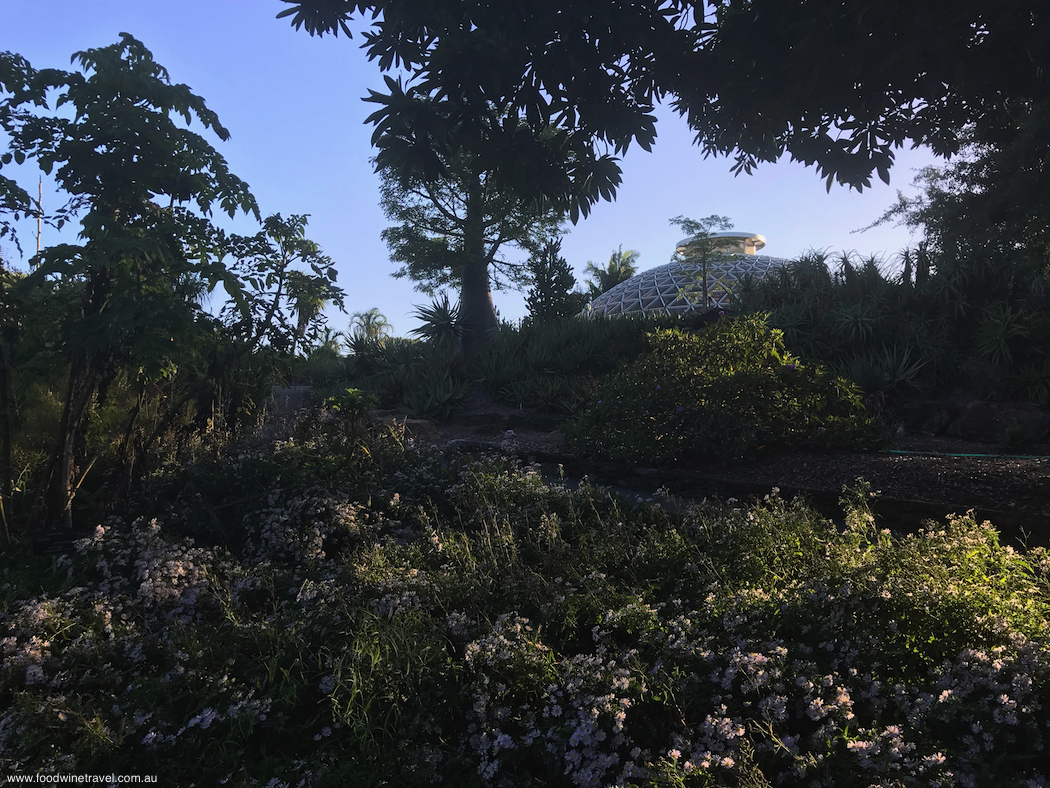 2018 March 15 Mount Coottha Botanic Gardens Brisbane Tropical Display Dome