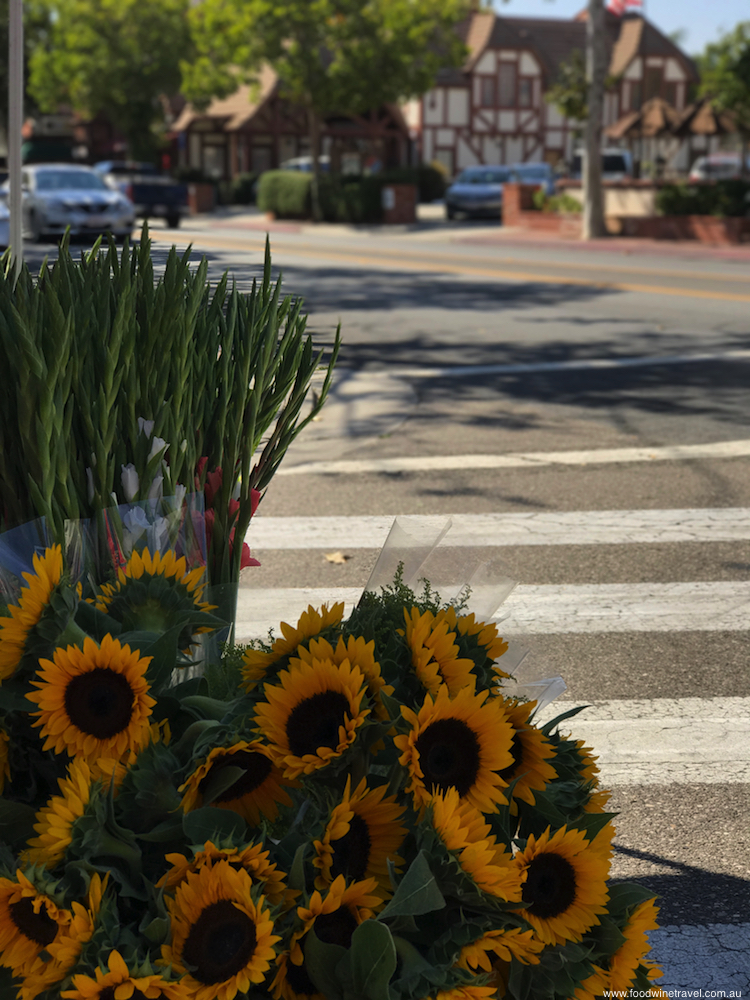 Solvang Sunflowers and Danish buildings